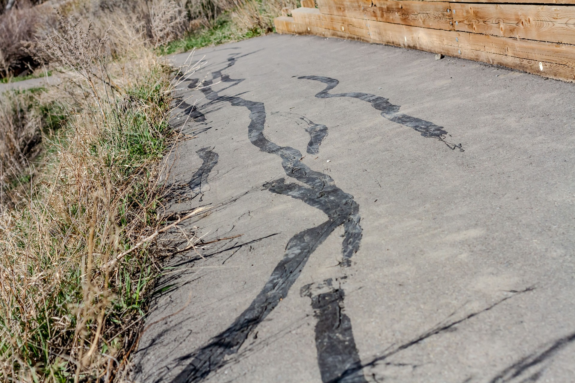 Paved walkway and bike path with black tar repairs of cracks